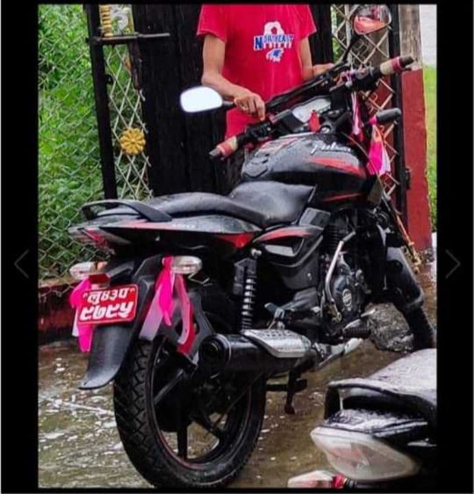 2018 Bajaj Pulsar 150 image