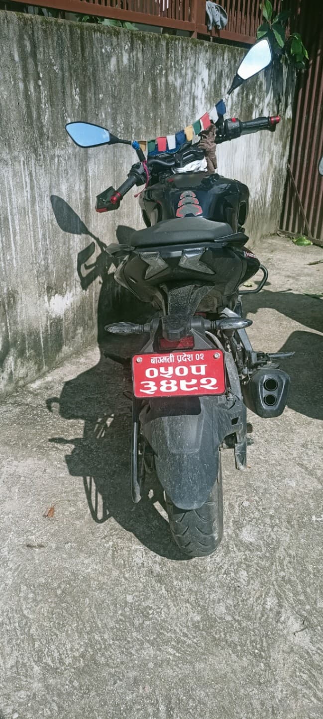 2024 Bajaj Pulsar N250 image