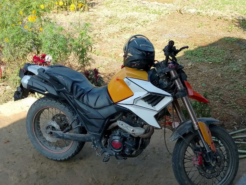 2019 Motorhead Tekken 250