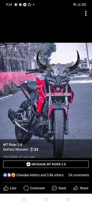 2024 Yamaha MT-15 image