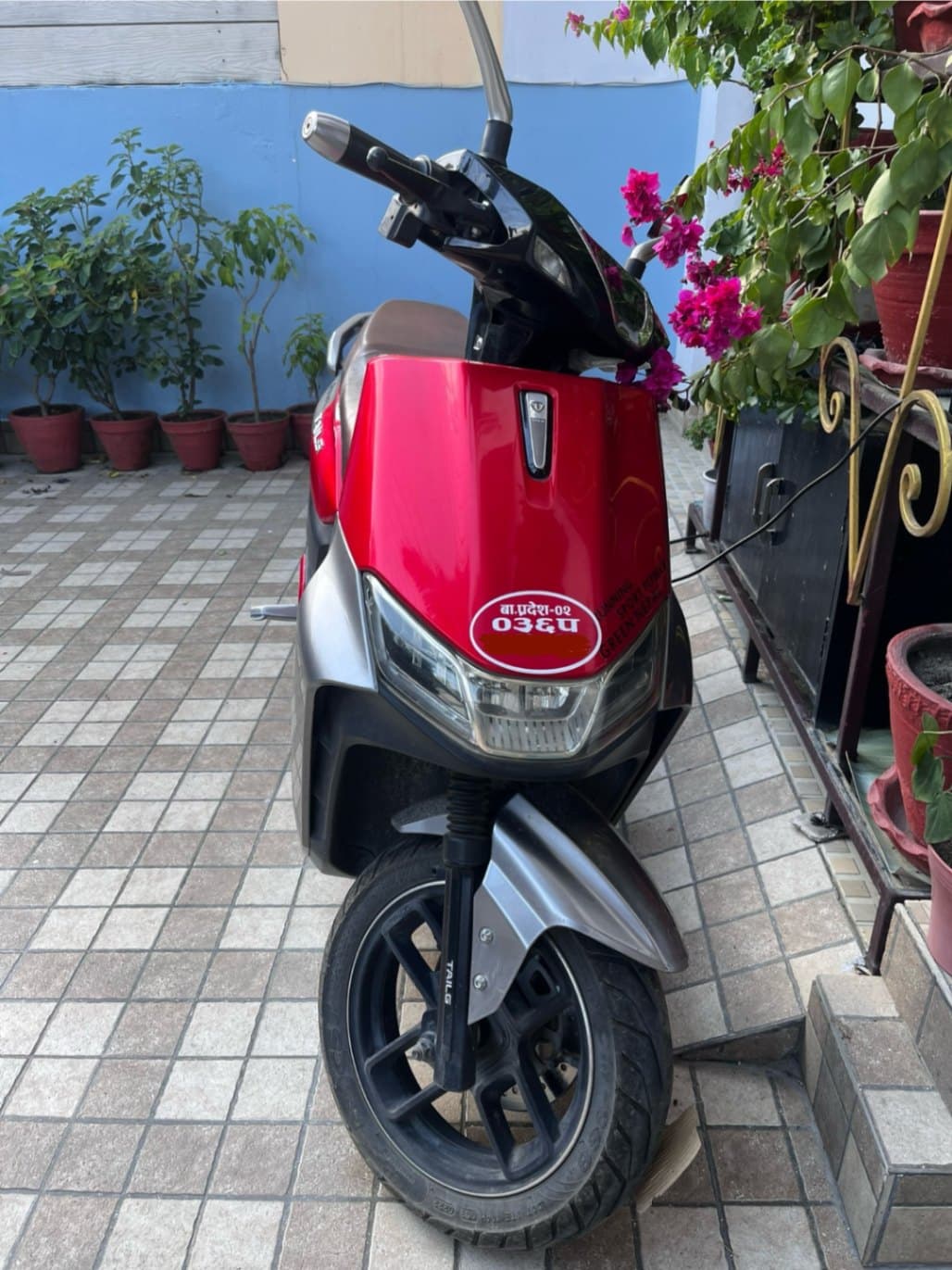 2022 TAILG Tiger