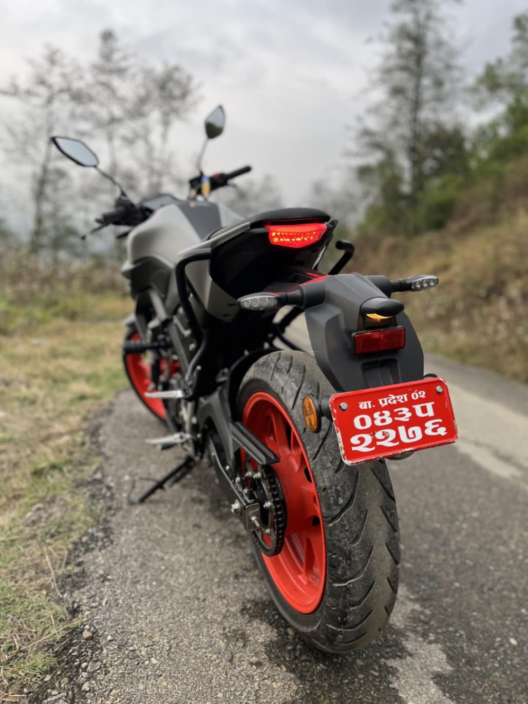 2023 Yamaha MT-15