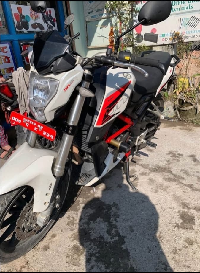 2019 Benelli Leoncino 251