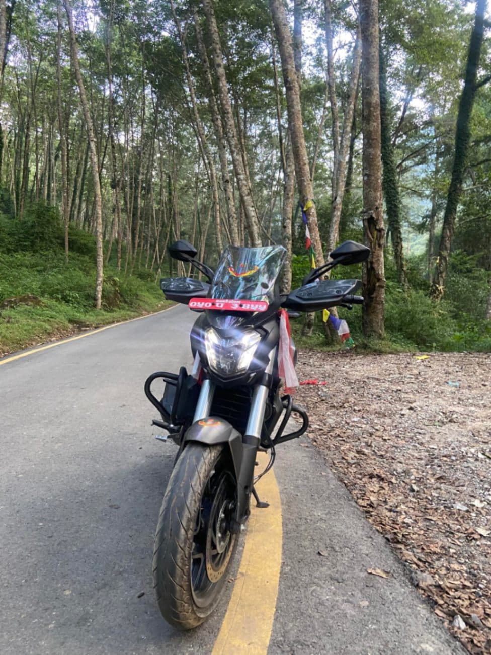 2024 Bajaj Dominar 400 image