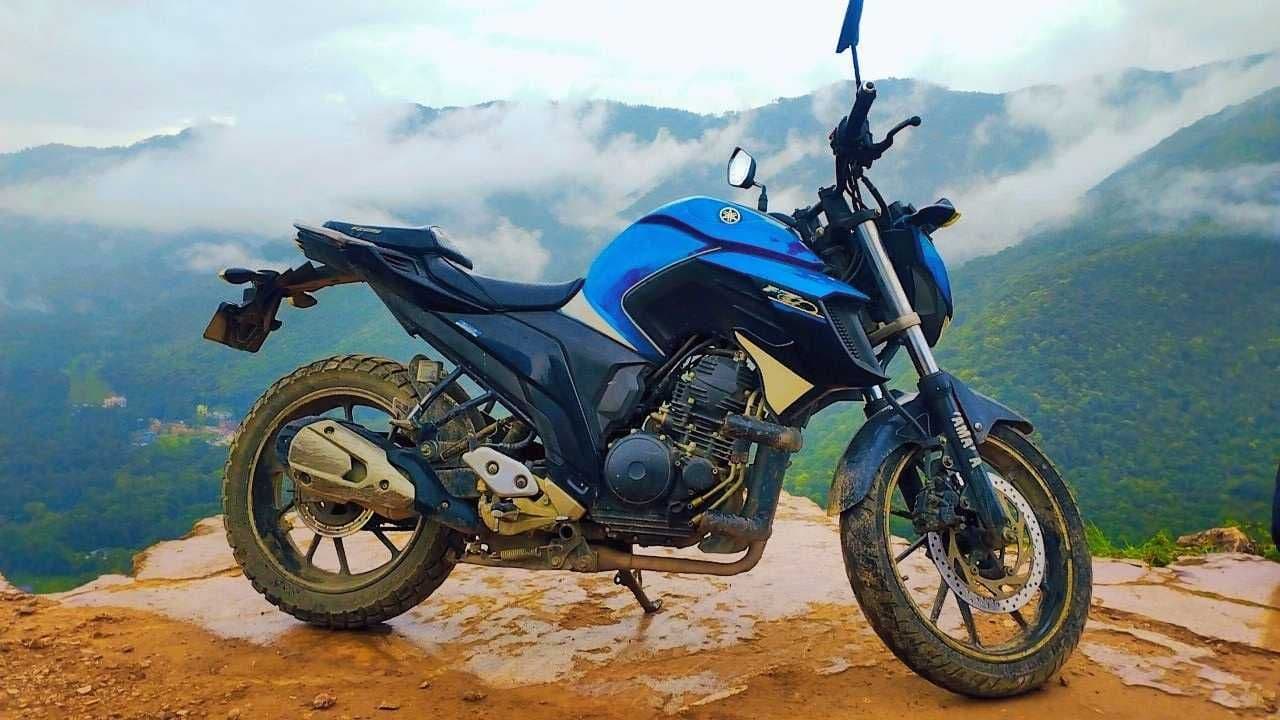 2017 Yamaha FZ 25 image
