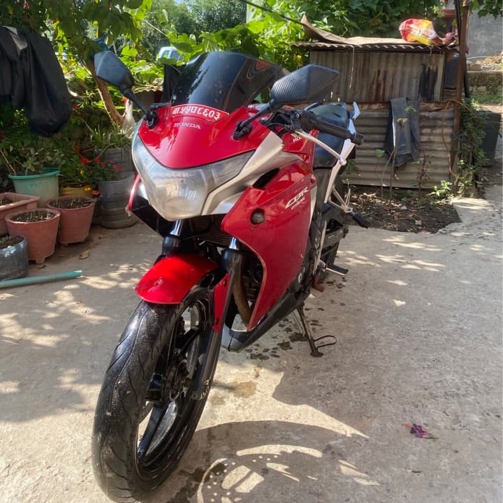 2013 Honda CBR 250R image