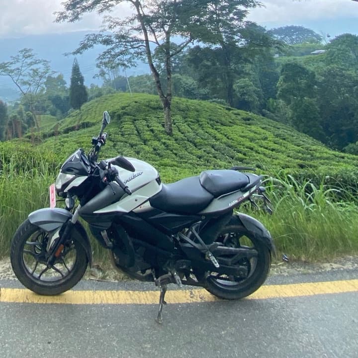 2020 Bajaj Pulsar NS 200 ABS image
