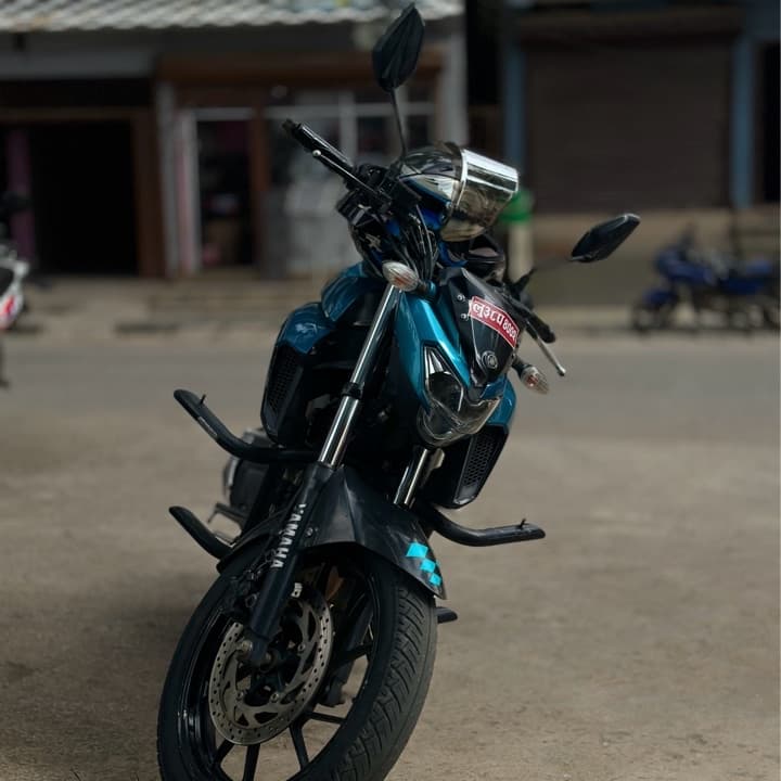 2017 Yamaha FZ 25 image