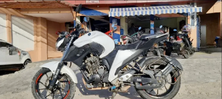 2017 Yamaha FZ 25 image