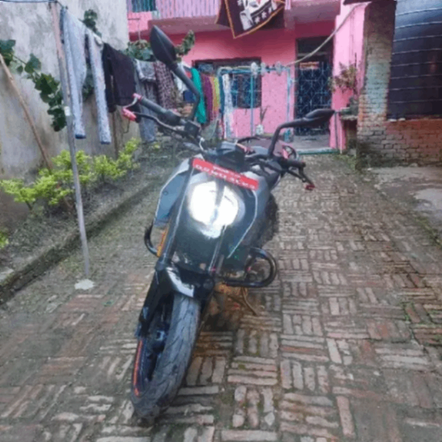 2021 KTM Duke 250 image