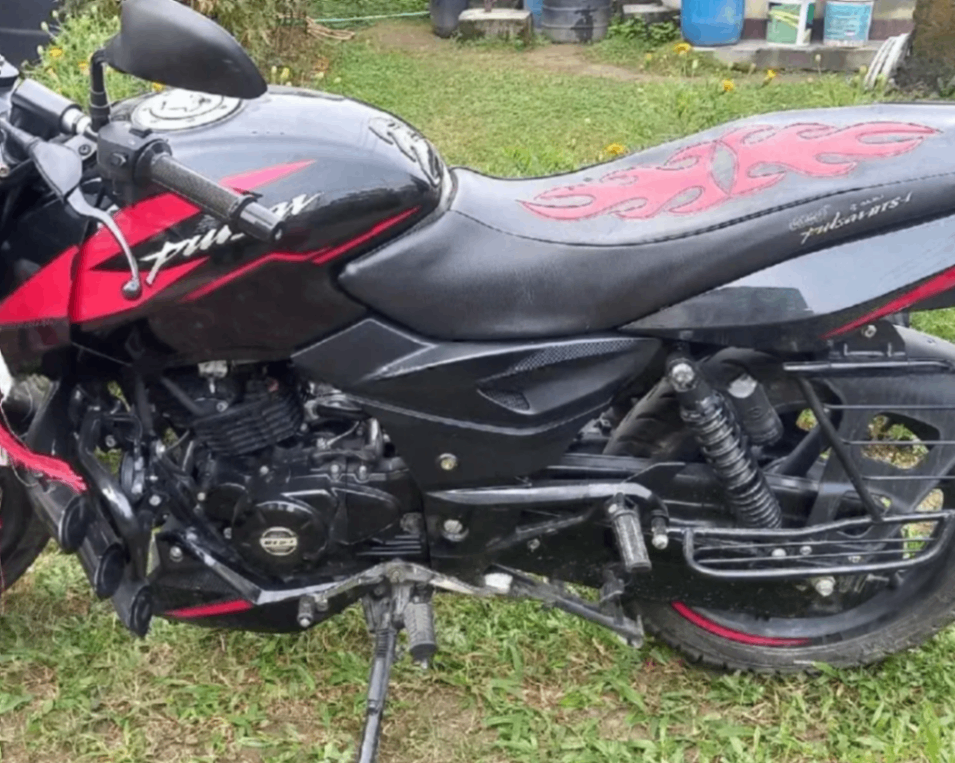 2022 Bajaj Pulsar 150 image