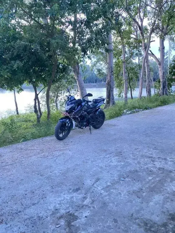 2020 Bajaj Pulsar NS 200 ABS image