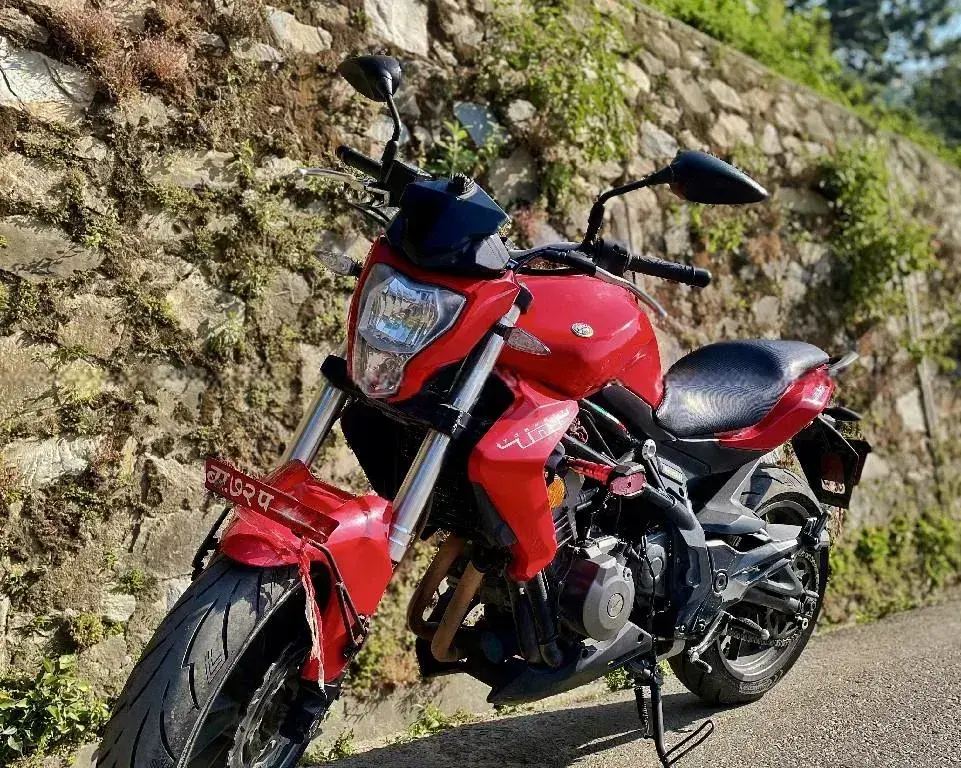 2016 Benelli TNT 300 image