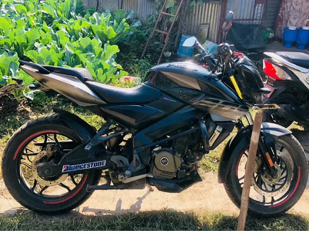 2022 Bajaj Pulsar NS 200 image