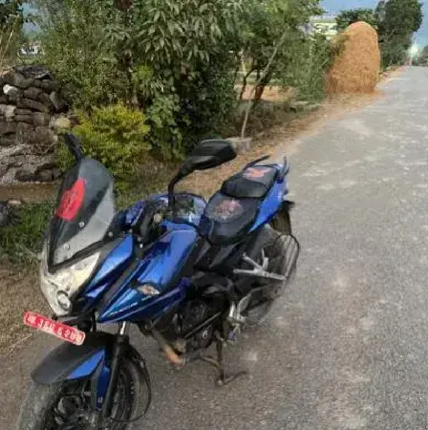2015 Bajaj Pulsar AS 200 image