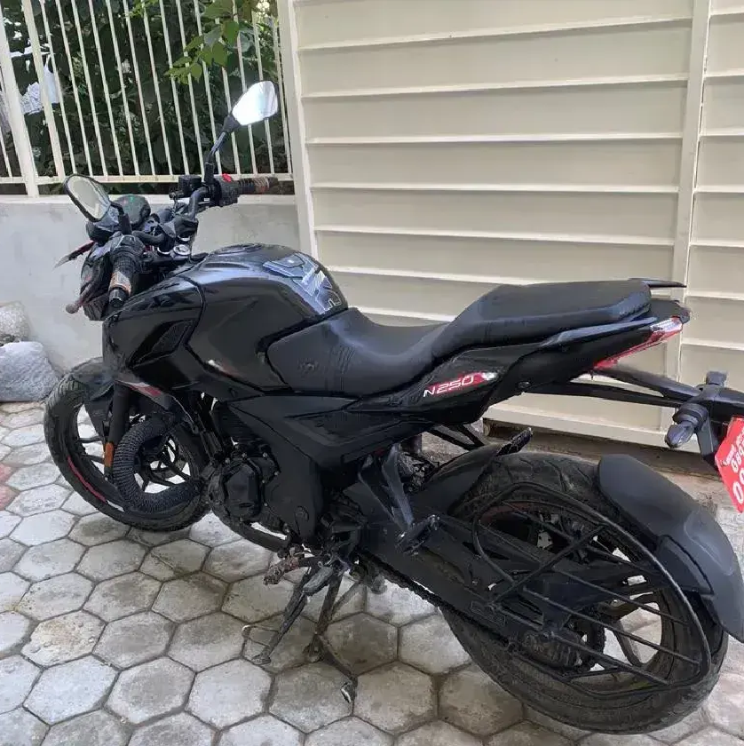 2023 Bajaj Pulsar N250 image