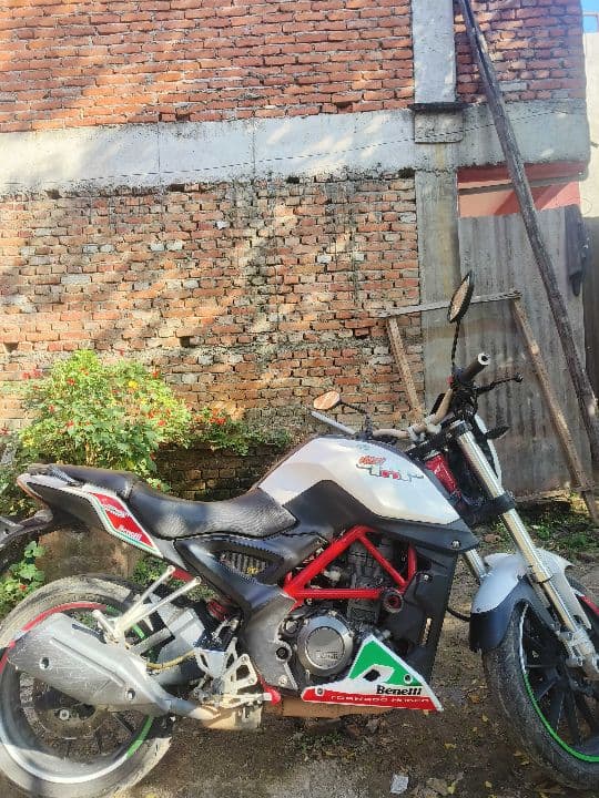 2016 Benelli TNT 25 image