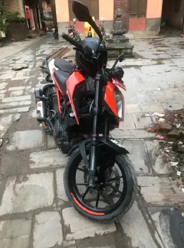 2017 KTM Duke 250 image