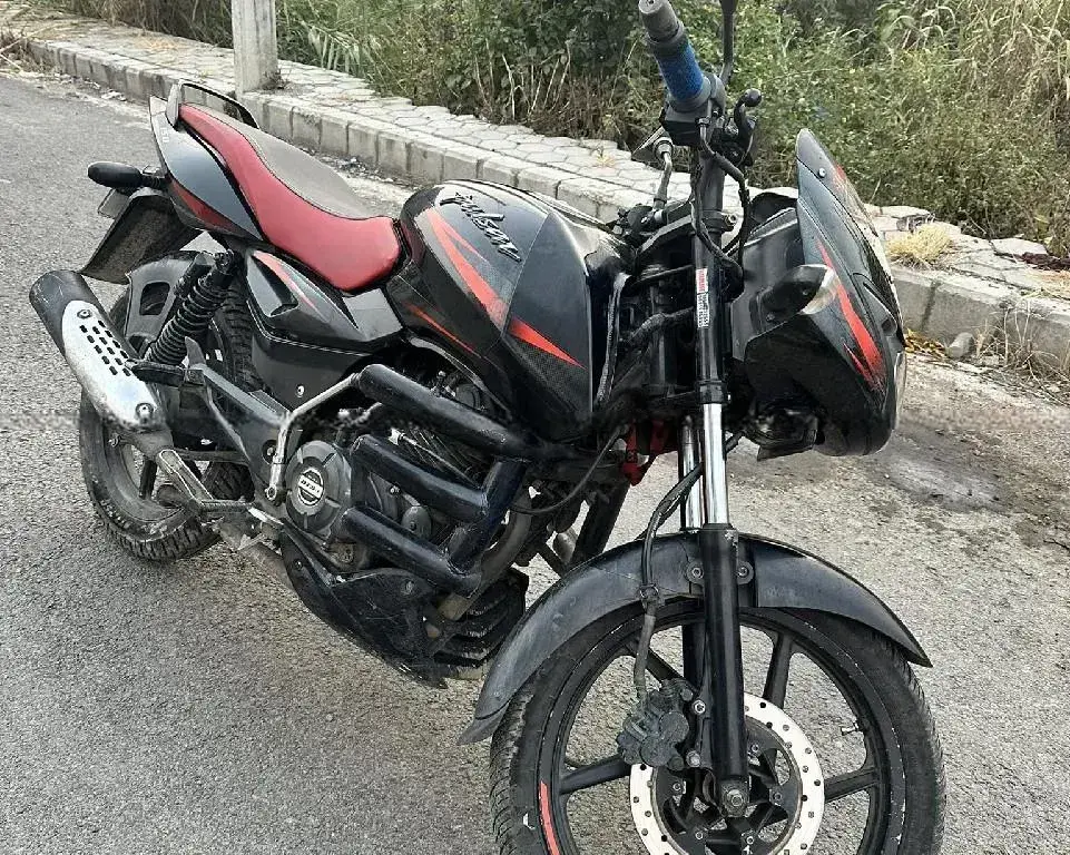 2019 Bajaj Pulsar 150 image