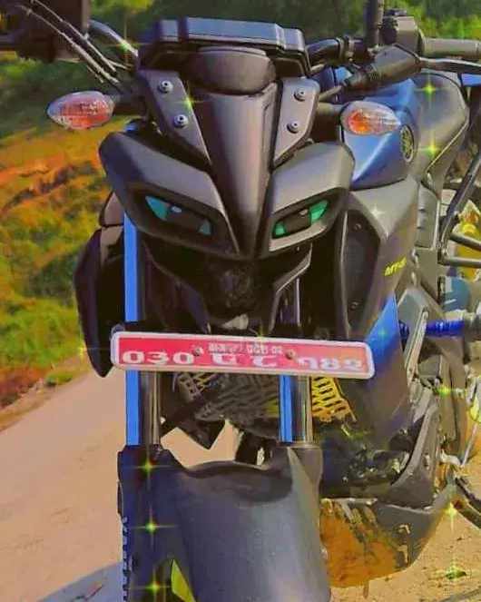 2021 Yamaha MT-15 image