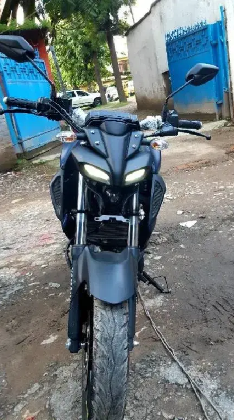 2019 Yamaha MT-15 image