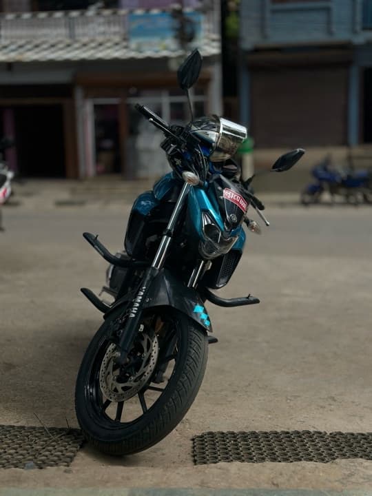 2017 Yamaha FZ 25 image