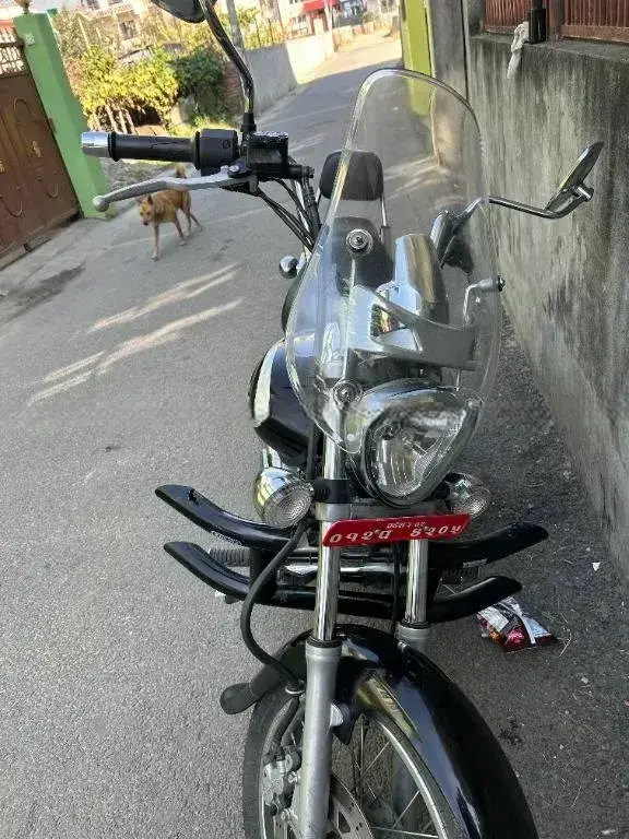 2019 Bajaj Avenger 220 Cruise image