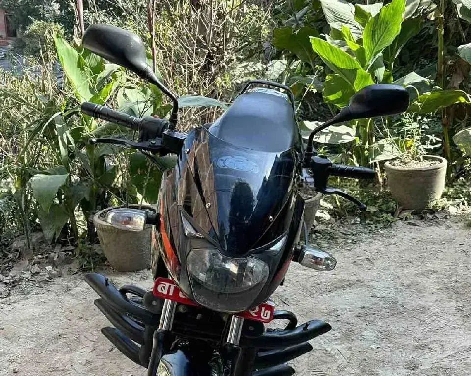 2018 Bajaj Pulsar 150 image