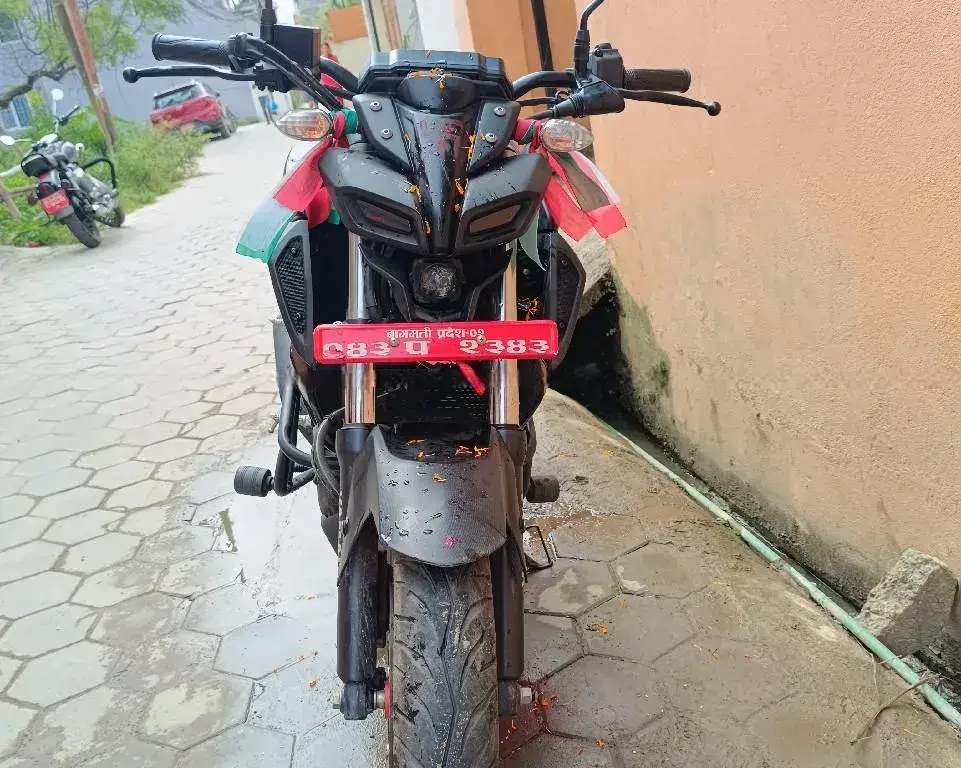 2023 Yamaha MT-15 image
