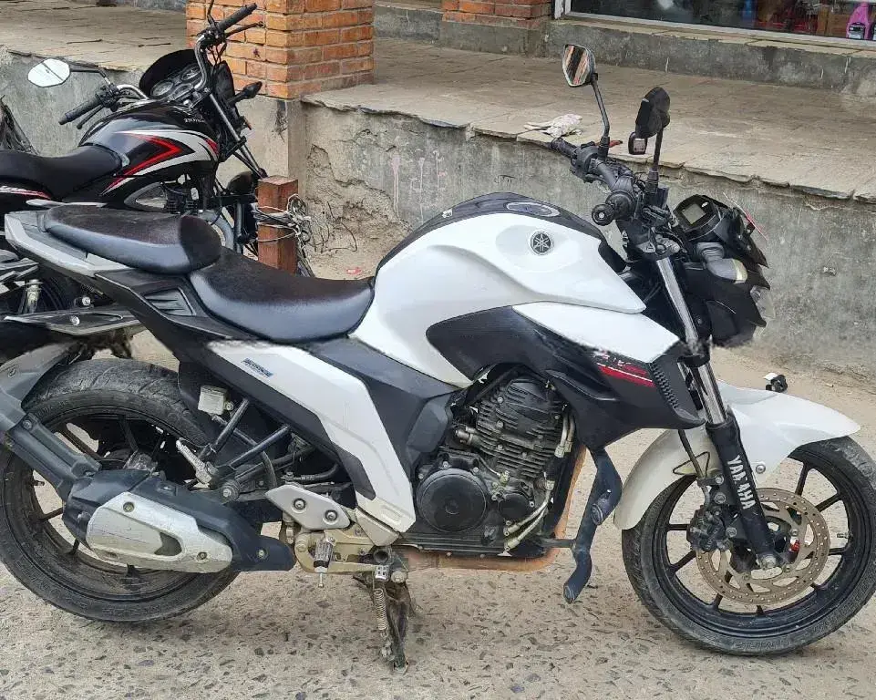 2017 Yamaha FZ 25 image