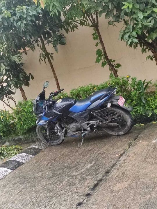 2021 Bajaj Pulsar 220F image