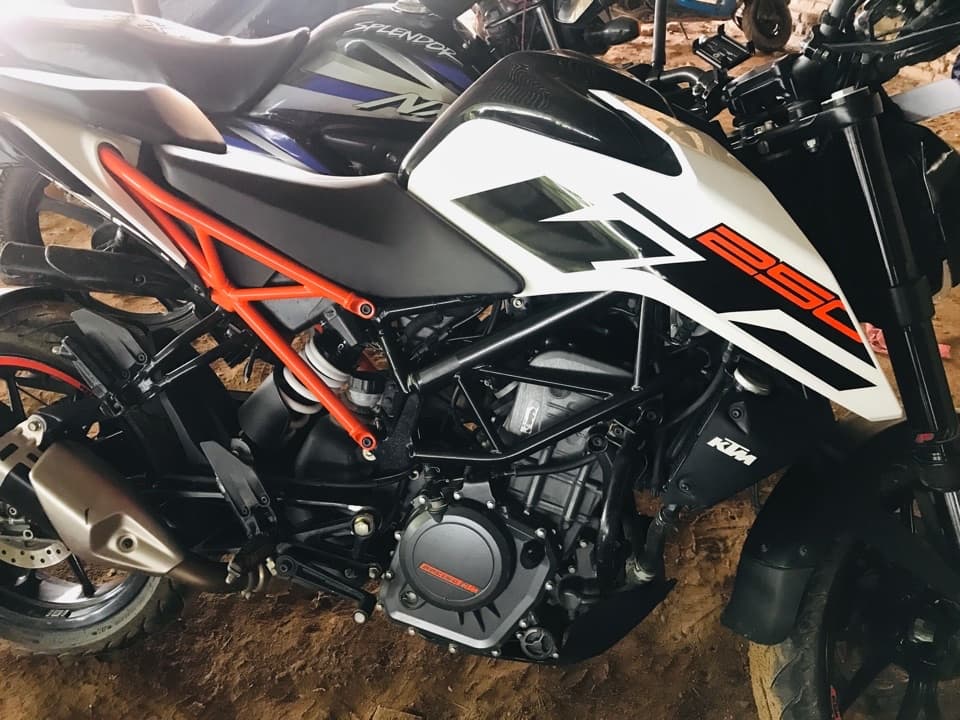 2019 KTM Duke 250 image