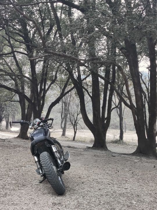 2003 Yamaha Enticer image