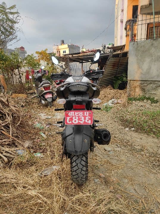 2017 Yamaha FZ 25 image