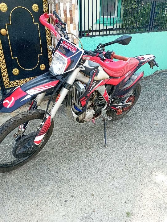 2021 Asian Beast AB250 V1 image