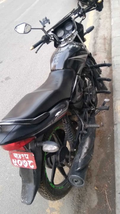 2010 Honda CB Shine image
