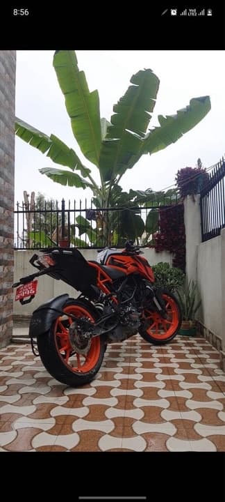 2021 KTM Duke 200 image