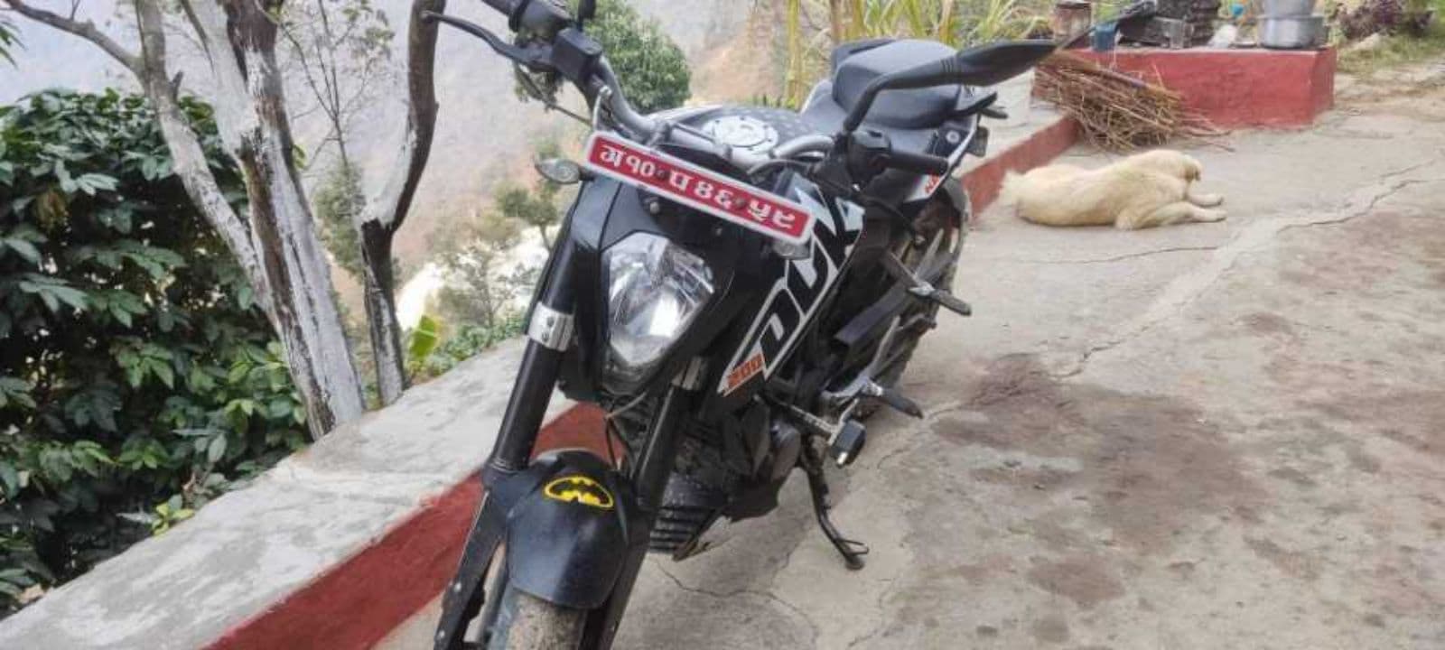 2015 KTM Duke 200 image