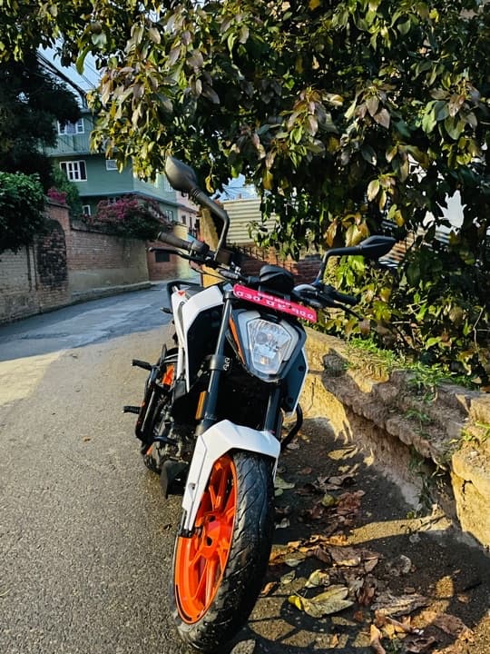 2022 KTM Duke 200 image