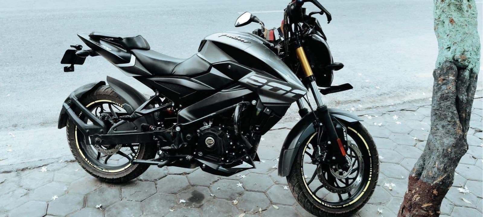 2021 Bajaj Pulsar NS 200 ABS image