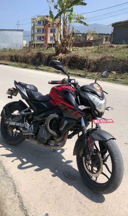 2017 Bajaj Pulsar NS 200 image