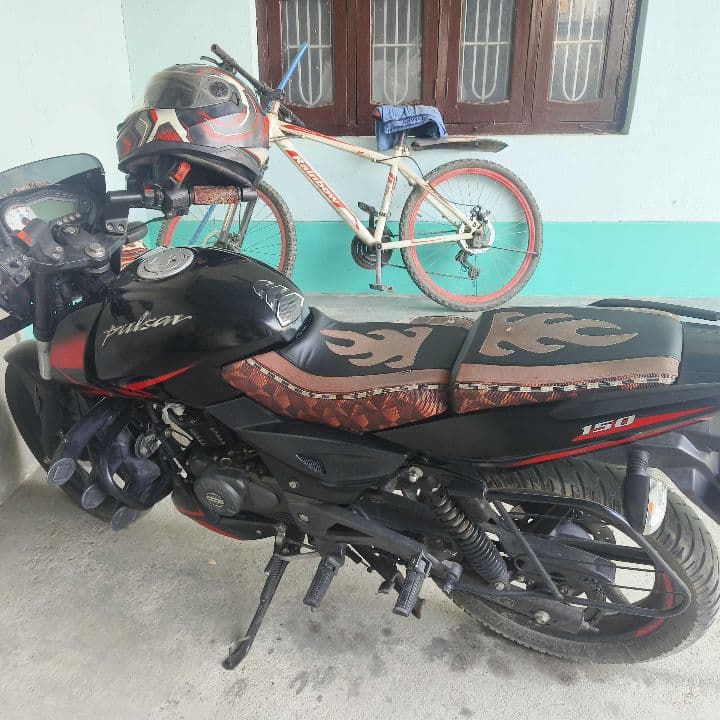 2019 Bajaj Pulsar 150TD image