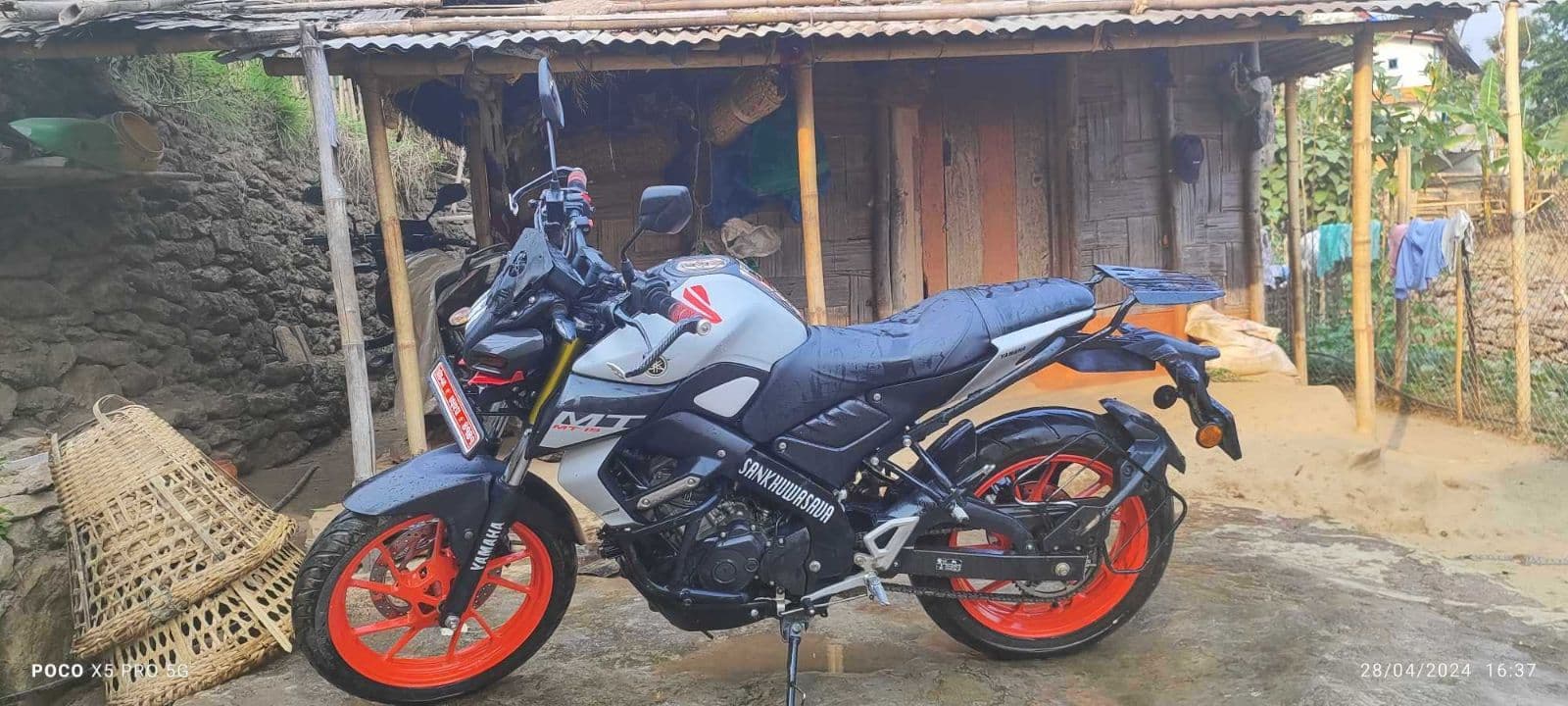 2023 Yamaha MT-15 image
