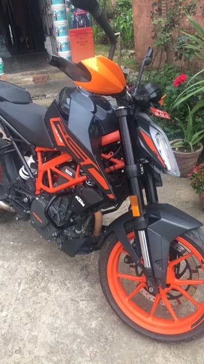 2021 KTM Duke 250 image