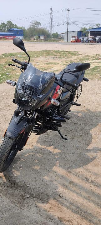 2022 Bajaj Pulsar 150TD image