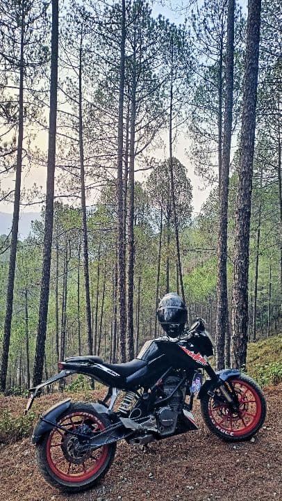 2014 KTM Duke 200 image