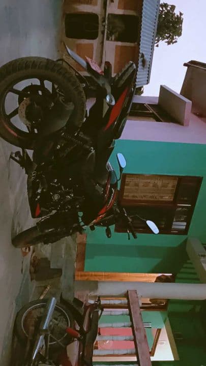 2023 Bajaj Pulsar 150TD image