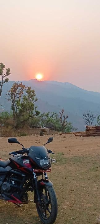 2019 Bajaj Pulsar 150TD image