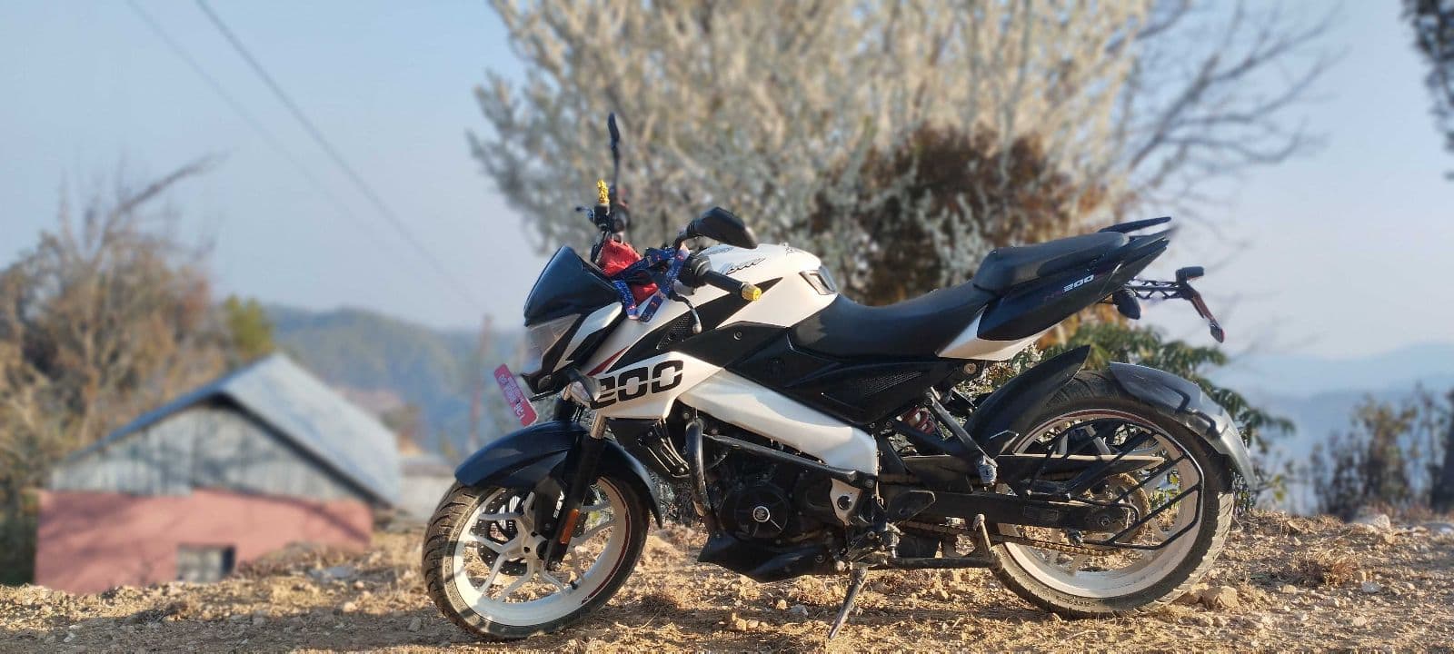 2021 Bajaj Pulsar NS 200 ABS image