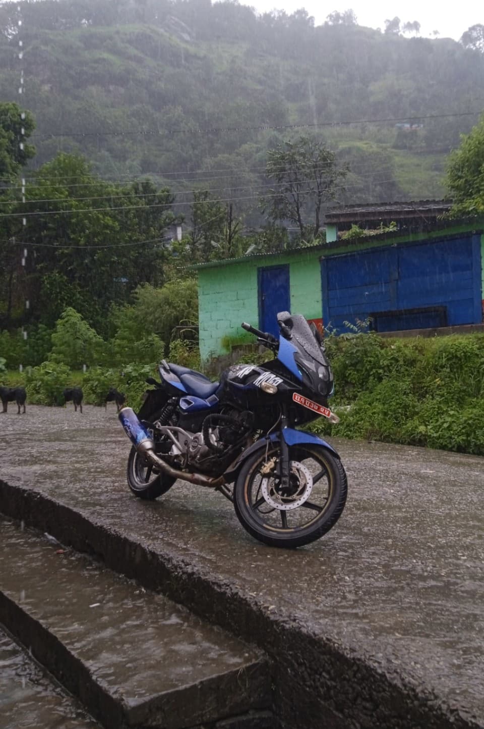 2024 Bajaj Pulsar 220F image